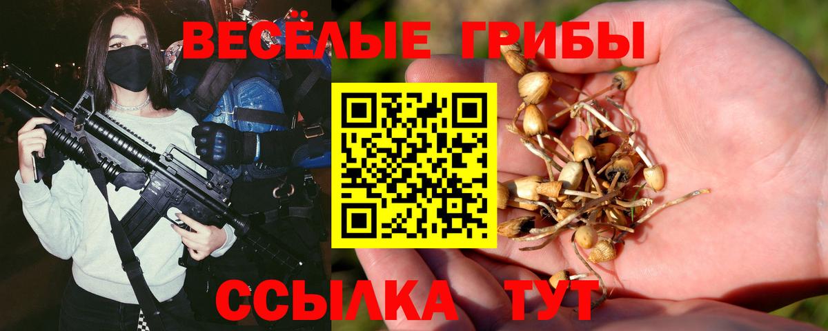 Псилоцибиновые грибы прущие грибы Дзержинск