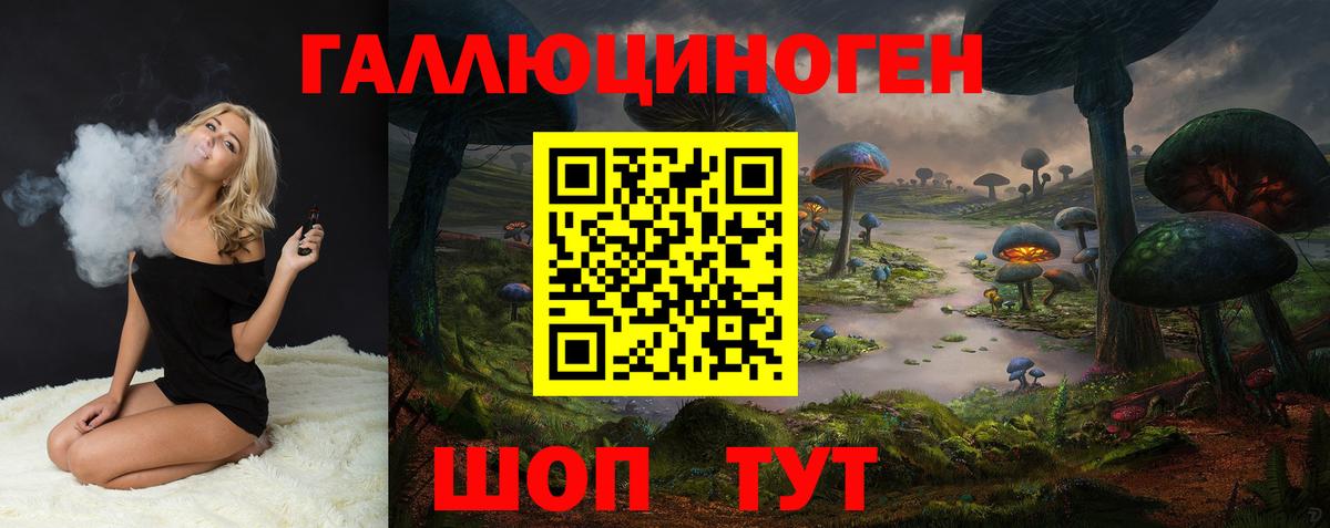 Дзержинск  Псилоцибиновые грибы Psilocybe  Вход с VPN  Псилоцибиновые грибы Psilocybine cubensis 